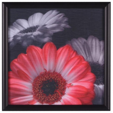Cuadro Decorativo Flor Roja 2 - Envío Gratuito