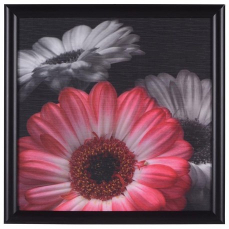 Cuadro Decorativo Flor Roja 1 - Envío Gratuito