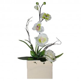 Arreglo Floral Orquídea - Envío Gratuito