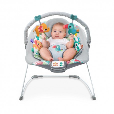Asiento Cuna Bright Starts 10589 - Envío Gratuito
