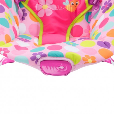 Asiento Cuna Bright Starts 10880 - Envío Gratuito
