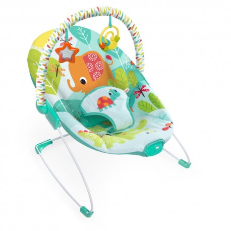 Asiento Cuna Bright Starts 10879 - Envío Gratuito