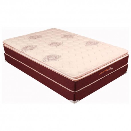 Sealy Set King Size Siddely - Envío Gratuito